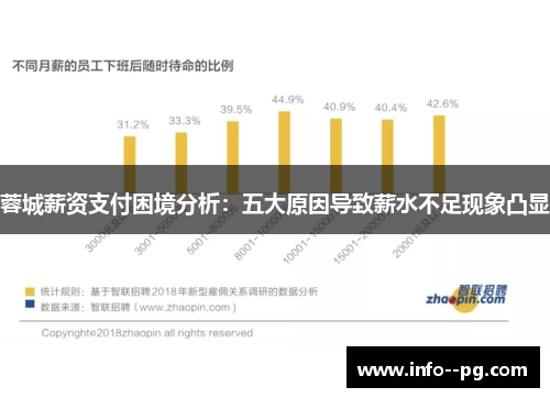 蓉城薪资支付困境分析：五大原因导致薪水不足现象凸显